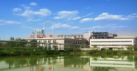 1551926970954366.jpg 1551926970954366.jpg